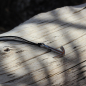Preview: Silver+Surf Silber Schmuck Anker XL Wood Halsband