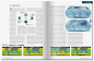 Preview: The World Kite and Windsurfing Guide