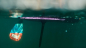 Preview: Red Paddle Co SPORT SE Board Set 11'3" x 32" x 4.7" 2020