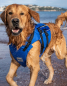 Preview: Red Original Chaleco salvavidas para perros Azul