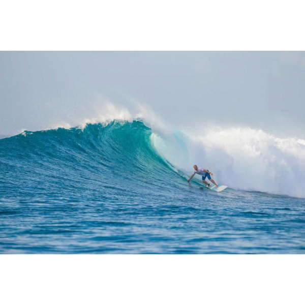 Surfboard TORQ Epoxy TET 8.0 Longboard Pinlines