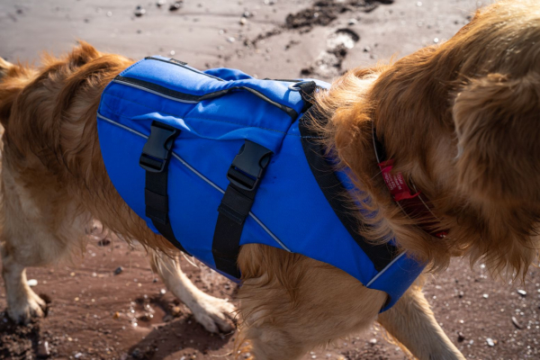 Red Original Chaleco salvavidas para perros Azul